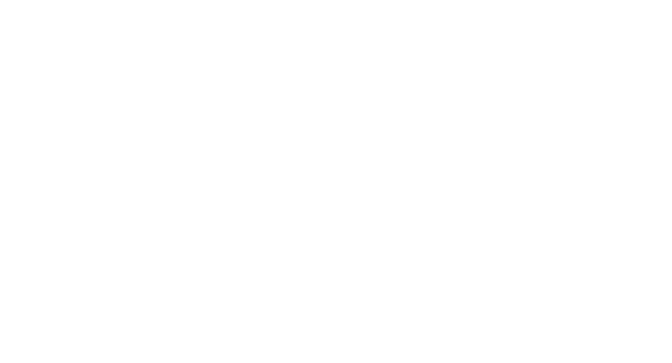 AOnline Logo